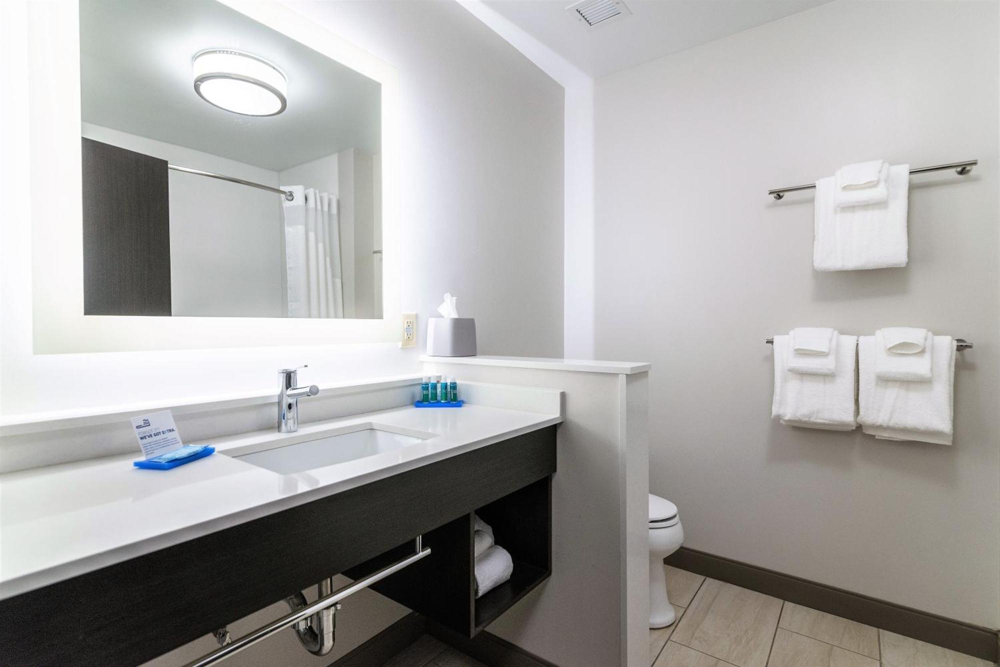 Holiday Inn Express & Suites Allen Park By Ihg Exteriér fotografie